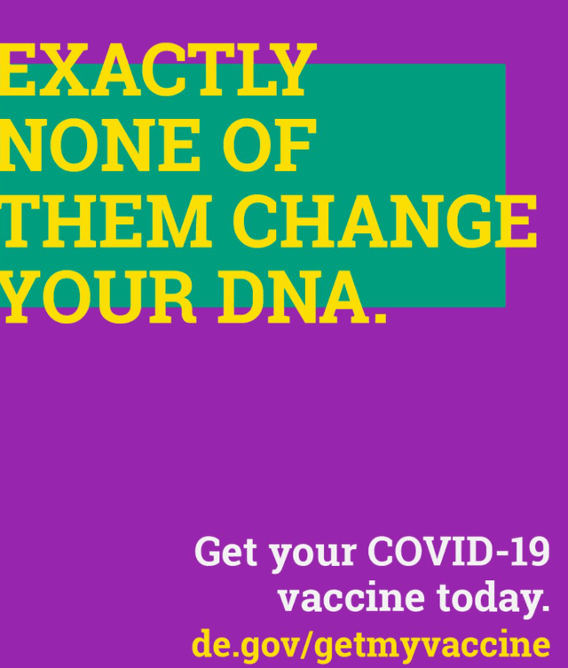 Adult Vaccine Facts that Matter  DNA 2